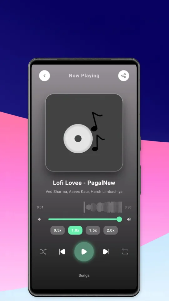 Offline Music Player Flutter App — screenshot 1