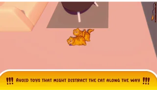 Cat & the Cage