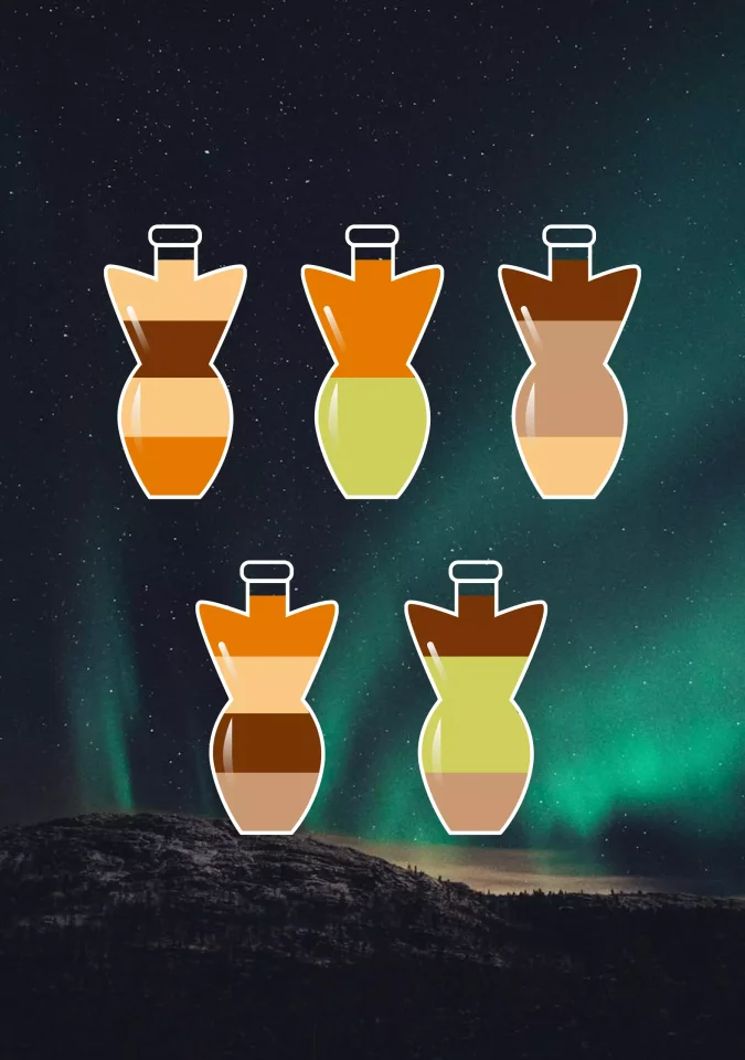 Water Sort Puzzle Game 2025 — screenshot 5