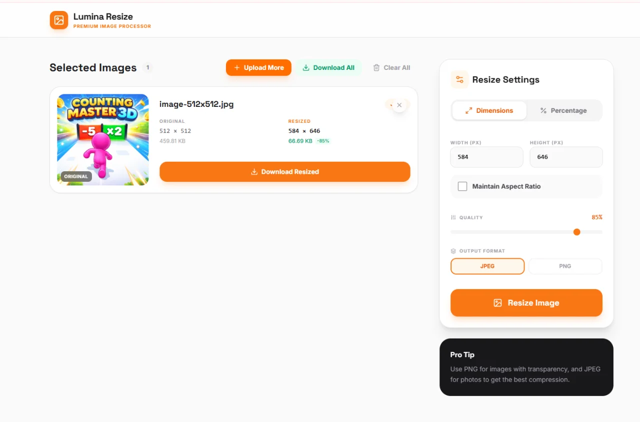 Premium Image Resizer — screenshot 2