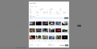 Mega Video Search