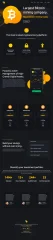 Advanced Bitcoin Mining Platform