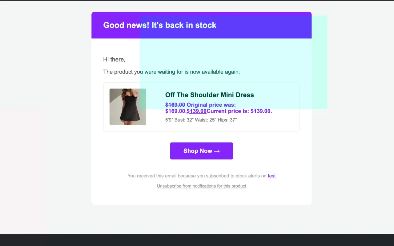 StockAlert Pro - WooCommerce Back in Stock Notifier — screenshot 3
