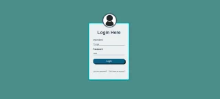 Basic Login Page