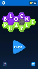 Hexa Block - Puzzle Game