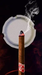 Lighter Simulation