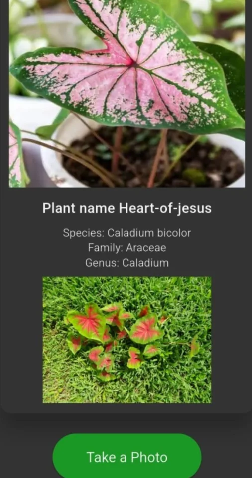 Plant App — screenshot 7