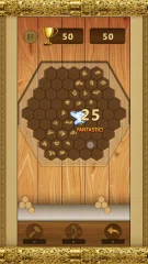 Woody - Wood Block Puzzle