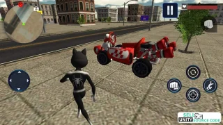 Spider Cartoon Cat