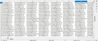 India Verified Email List