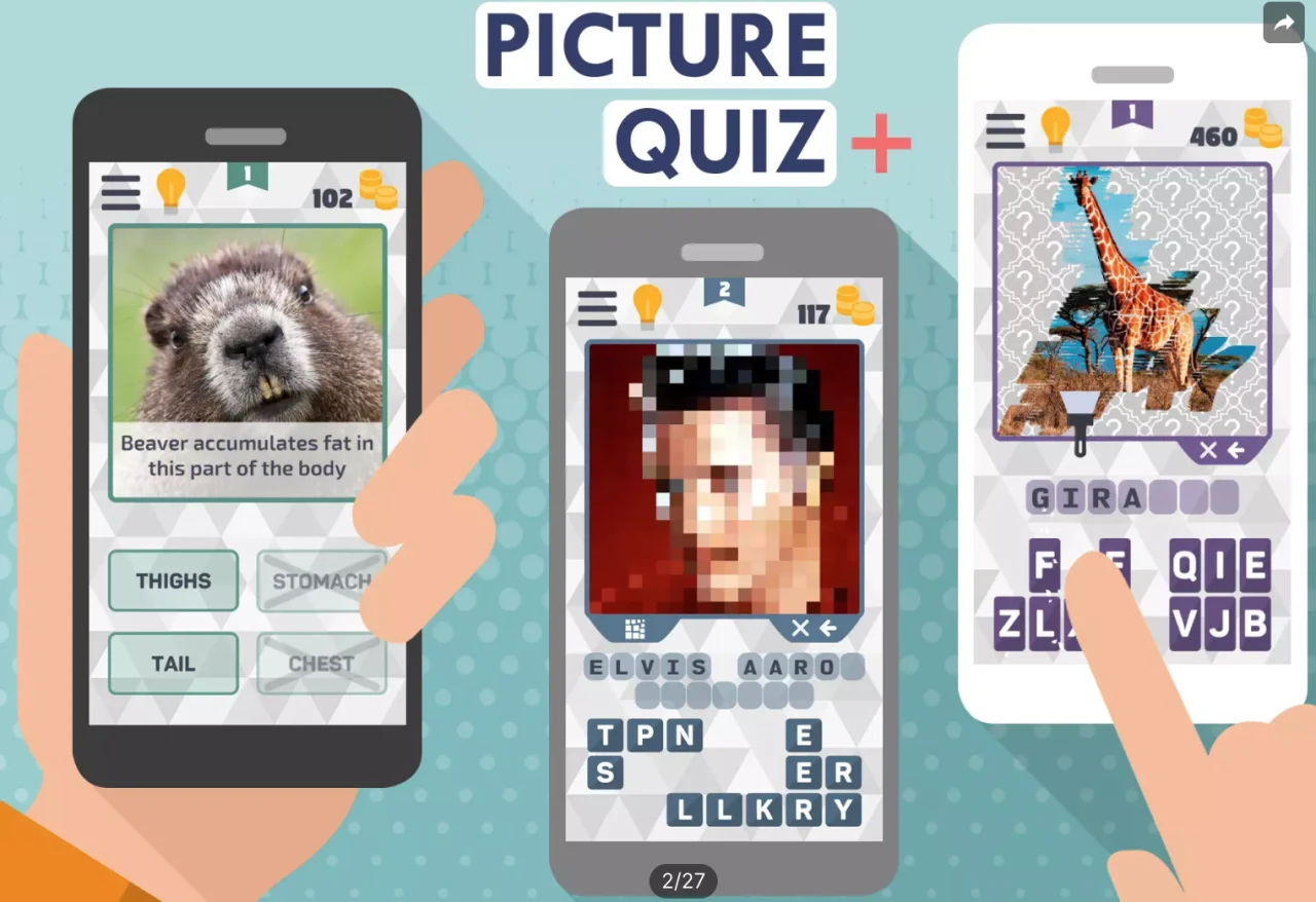 Picture Quiz Plus — screenshot 5