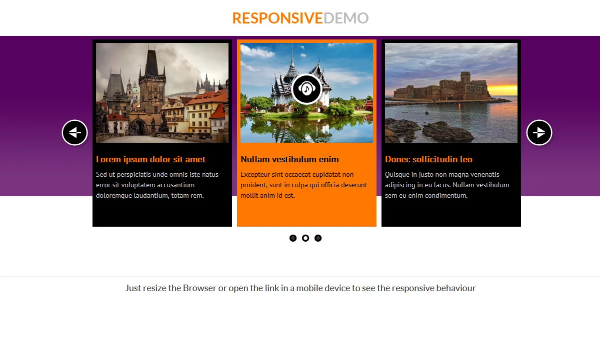 Multimedia Responsive Carousel with Image Video Audio Support - WordPress Plugin — screenshot 4