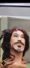 Face Recognition with Liveness Detection