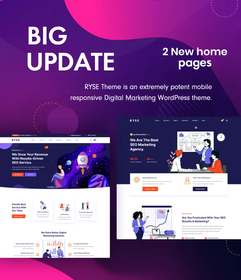 Ryse - SEO & Digital Marketing Theme — screenshot 1