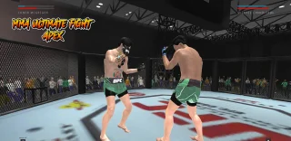 MMA Ultimate Fight APEX