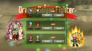 Dragon Saiyan Fighter