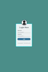 Basic Login Page