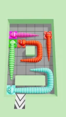 Snake Puzzle