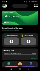 PayCash Complete & Earn