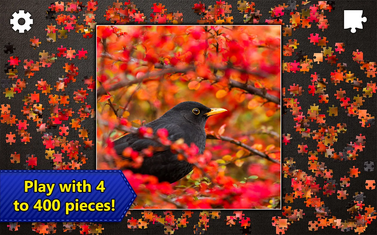 Jigsaw Puzzles Epic — screenshot 3