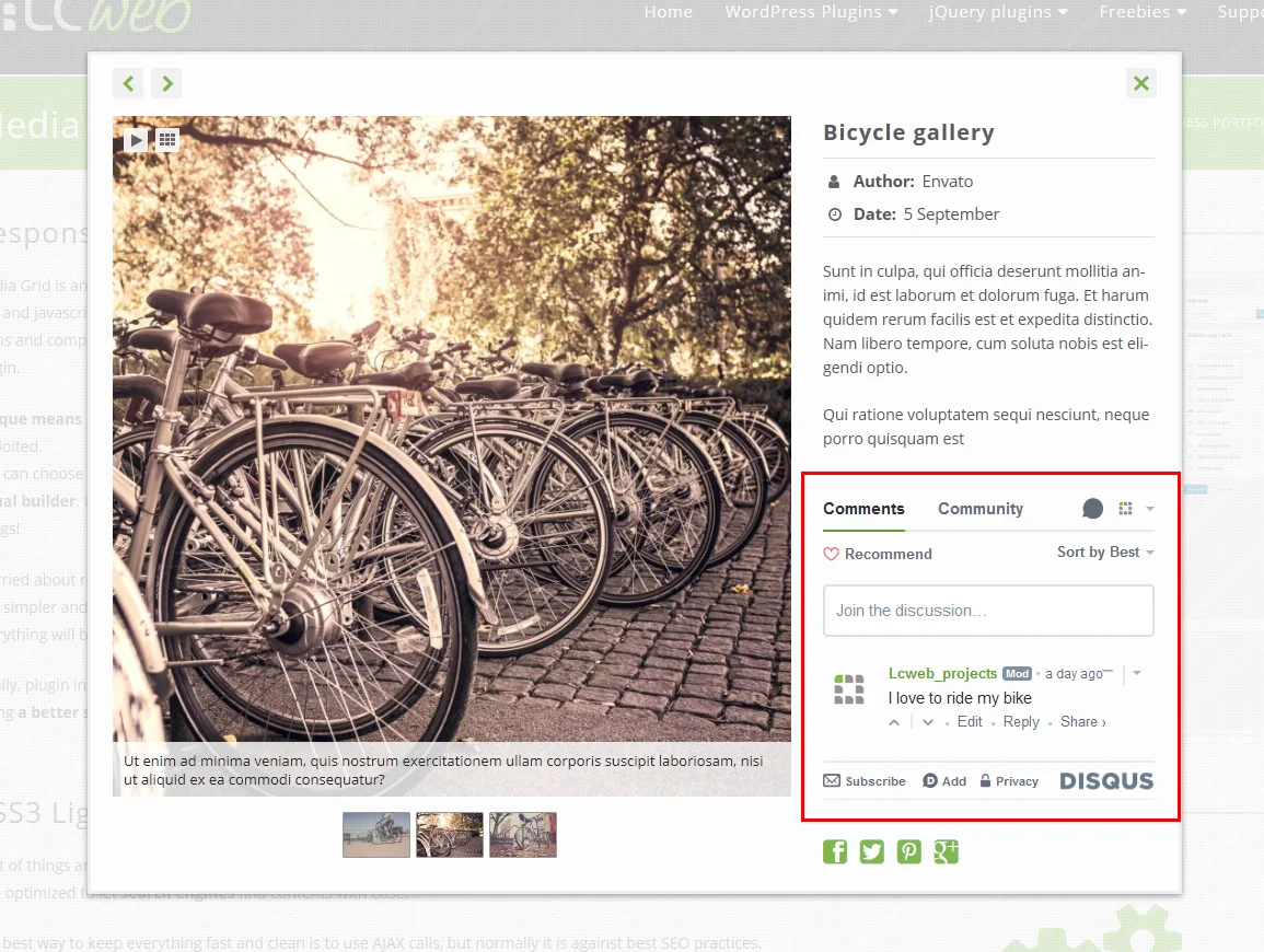 Media Grid - WordPress Responsive Portfolio — screenshot 3
