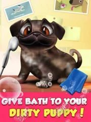Puppy Care Unity Source Code