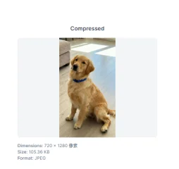 Photo Compressor