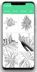 Colorize - Colorbook for Adult
