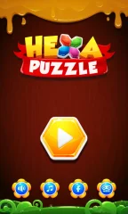 Hexa Puzzle Block