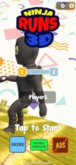 Ninja Runs 3D