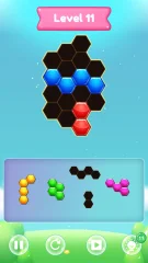 Hexa King (200+ Levels)