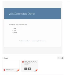 WooCommerce Attach Me!