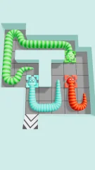 Snake Puzzle