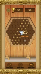 Woody Block Puzzle Classic