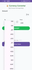 Global Currency Converter Pro