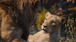 The Lion King GIFs