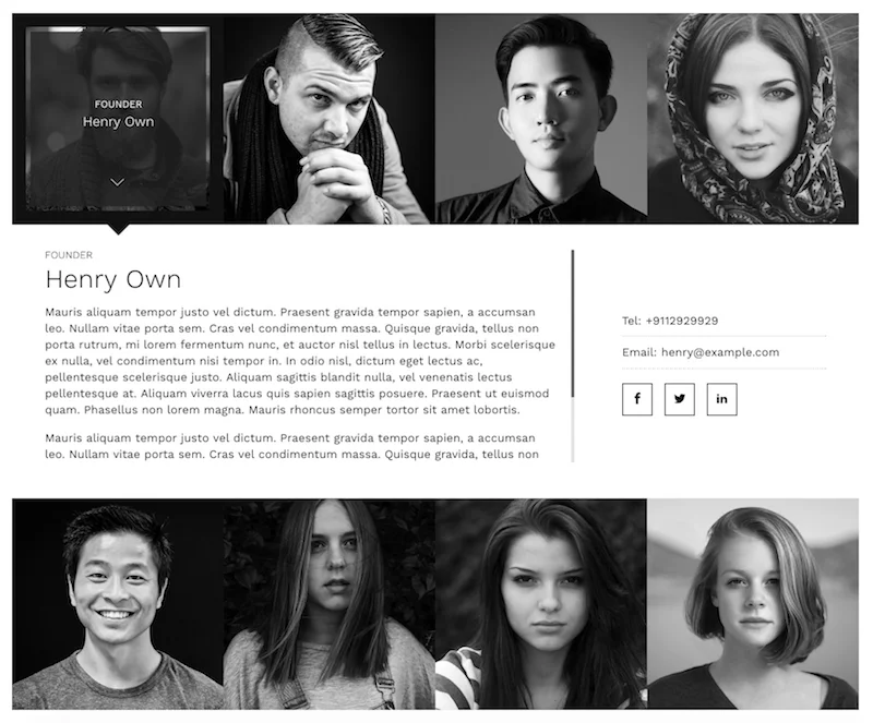 The Team Pro - Team Showcase WordPress Plugin — screenshot 4