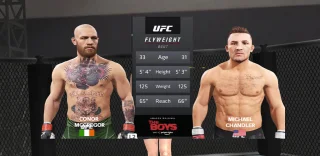 MMA Ultimate Fight APEX