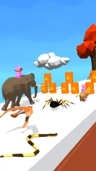Animal Shift Race