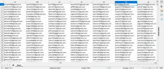 France Verified Email List