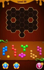 Hexa Puzzle Blocks Top Free Game