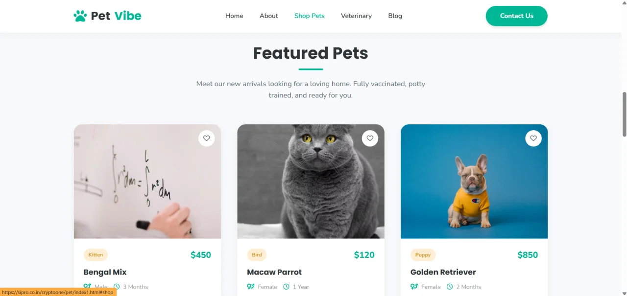 Pets Modern Animal Store & Veterinary Responsive HTML Template — screenshot 2