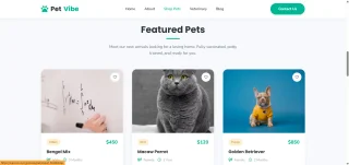 Pets Modern Animal Store & Veterinary Responsive HTML Template