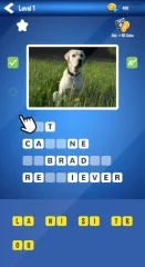 Photo Quiz - Unity Source Code