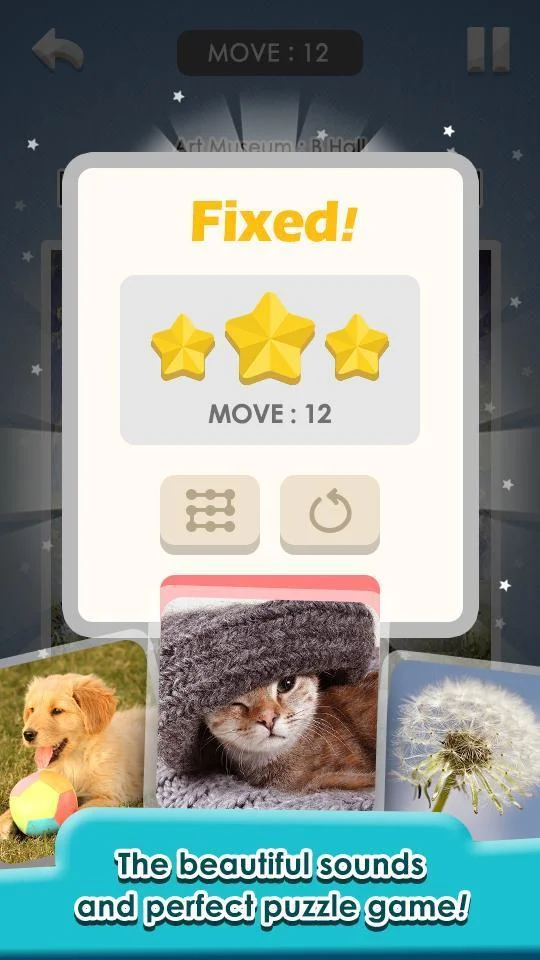 Slide Pictures - Sliding Puzzle Game — screenshot 4