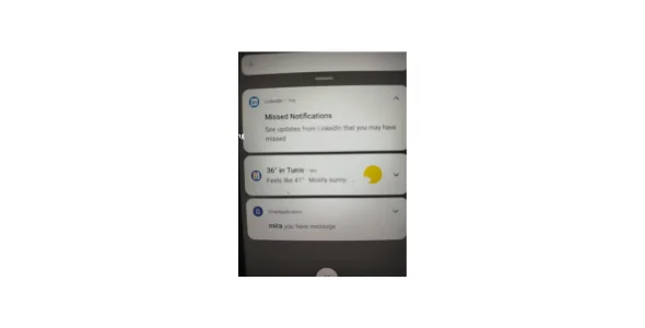 Walid — screenshot 4
