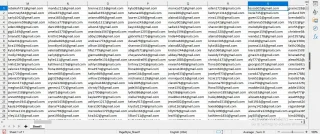 USA Verified Email List