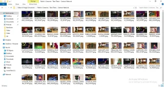 Batch Video to Image Converter