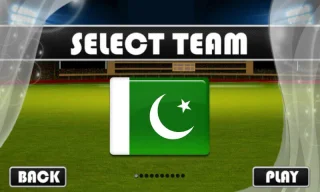 Cricket Stars Bowled 2019 64 Bit Supported