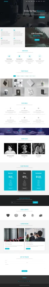 Onway Digital Business Agency HTML Template — screenshot 3